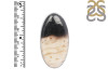 Plumroot Agate Adjustable Ring-ADJ-R PTJ-2-3