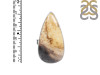 Plumroot Agate Adjustable Ring-ADJ-R PTJ-2-4