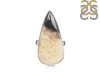 Plumroot Agate Adjustable Ring-ADJ-R PTJ-2-7