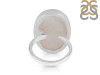 Moonstone Adjustable Ring-ADJ-R RBM-2-441