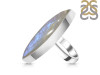 Moonstone Adjustable Ring-ADJ-R RBM-2-530