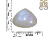 Moonstone Adjustable Ring-ADJ-R RBM-2-548