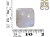 Moonstone Adjustable Ring-ADJ-R RBM-2-566