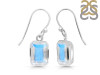 Moonstone Earring RBM-RDE-1328.