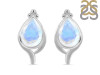 Moonstone Stud Earring RBM-RDE-26.