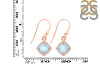 Moonstone & White Topaz Earring RBM-RDE-692.
