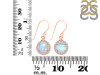 Moonstone & White Topaz Earring RBM-RDE-693.