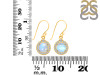 Moonstone & White Topaz Earring RBM-RDE-693.
