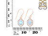 Moonstone & White Topaz Earring RBM-RDE-694.