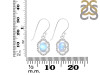Moonstone & White Topaz Earring RBM-RDE-694.