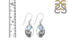 Moonstone Shell Earring RBM-RUE-6.