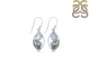 Moonstone Shell Earring RBM-RUE-6.