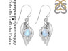 Moonstone Shell Earring RBM-RUE-7.