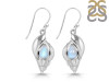 Moonstone Shell Earring RBM-RUE-7.