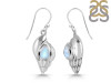 Moonstone Shell Earring RBM-RUE-7.