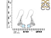 Moonstone & White Topaz Whale Tail Earring RBM-RUE-10.