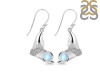 Moonstone & White Topaz Whale Tail Earring RBM-RUE-10.