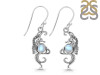 Moonstone Sea Horse Earring RBM-RUE-11.