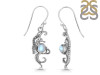 Moonstone Sea Horse Earring RBM-RUE-11.
