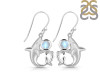 Moonstone Shark Earring RBM-RUE-12.
