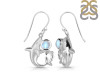 Moonstone Shark Earring RBM-RUE-12.