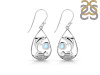 Moonstone Dolphin Earring RBM-RUE-26.