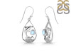 Moonstone Dolphin Earring RBM-RUE-26.