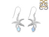 Moonstone & White Topaz Star Fish Earring RBM-RUE-31.