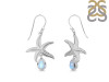 Moonstone & White Topaz Star Fish Earring RBM-RUE-31.