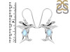 Moonstone & White Topaz Penguin Earring RBM-RUE-40.