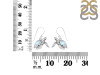 Moonstone Turtle Earring RBM-RUE-42.