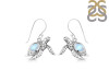 Moonstone Turtle Earring RBM-RUE-42.