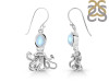 Moonstone Octopus Earring RBM-RUE-46.