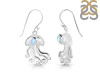 Moonstone Jelly Fish Earring RBM-RUE-47.