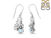 Moonstone Octopus Earring RBM-RUE-48.