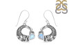 Moonstone Fish Earring RBM-RUE-56.