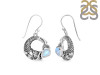 Moonstone Fish Earring RBM-RUE-56.