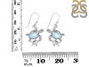 Moonstone Turtle Earring RBM-RUE-58.