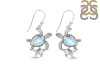 Moonstone Turtle Earring RBM-RUE-58.