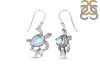 Moonstone Turtle Earring RBM-RUE-58.