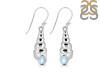 Moonstone Shell Earring RBM-RUE-60.