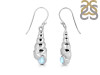 Moonstone Shell Earring RBM-RUE-60.