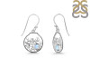 Moonstone & White Topaz Fish Earring RBM-RUE-62.