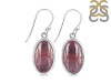Russian Dendritic Agate Earring-E RDA-3-1