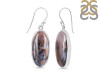 Russian Dendritic Agate Earring-E RDA-3-10