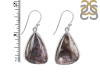 Russian Dendritic Agate Earring-E RDA-3-13