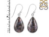 Russian Dendritic Agate Earring-E RDA-3-16