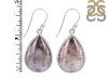 Russian Dendritic Agate Earring-E RDA-3-17