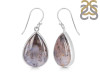 Russian Dendritic Agate Earring-E RDA-3-17