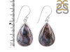 Russian Dendritic Agate Earring-E RDA-3-22